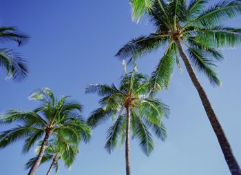 palm beach florida