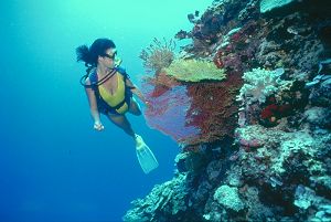 Scuba diving in Bermuda