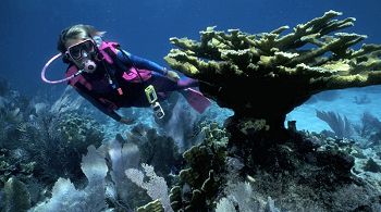 scuba diving in mexico
