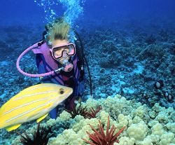 Diving Papua New Guinea