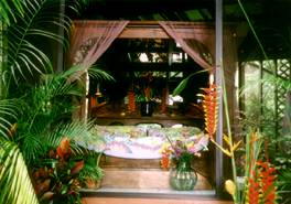 dragonfly ranch