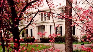 mansion bed and breakfast