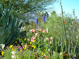 las cruces Bed and Breakfast