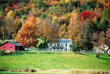 Yellow Farmhouse Inn